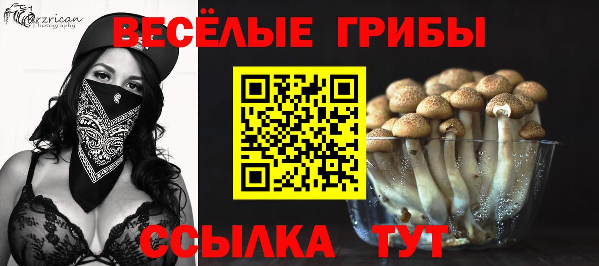 Галлюциногенные грибы ЛСД Симферополь